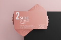 2-SIDE-CARD